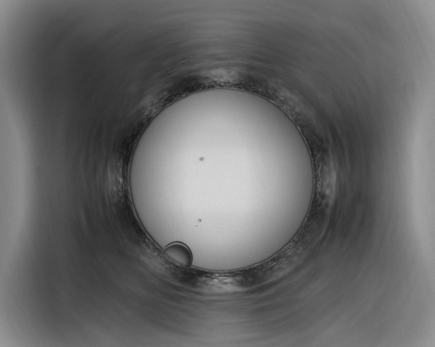 X0000116270518200912071045