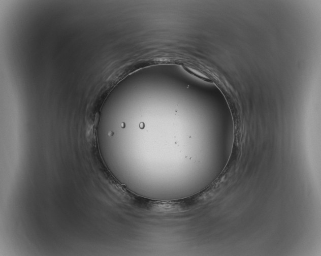 X0000116270521200912071045