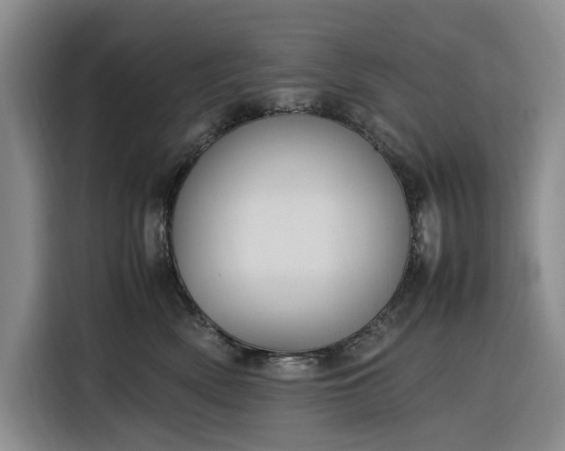 X0000116270522200912071045
