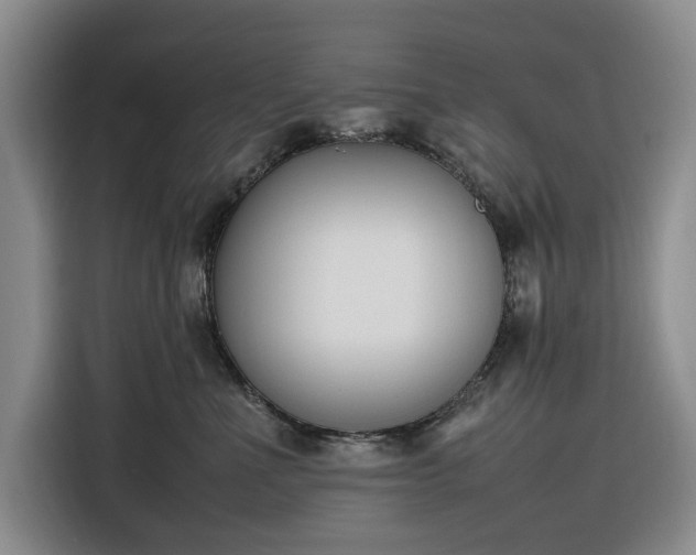 X0000116270523200912071045