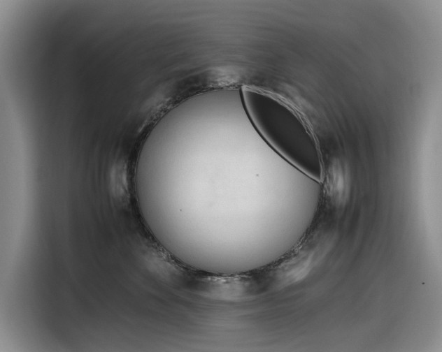 X0000116270524200912071045