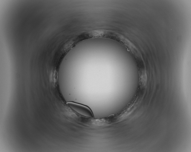 X0000116270525200912071045