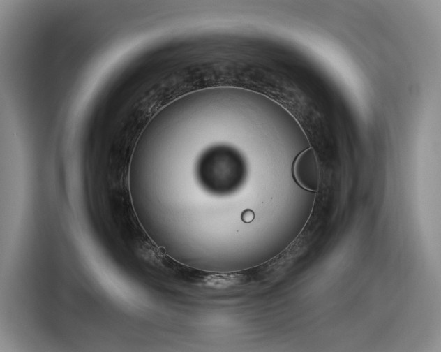 X0000116270526200912071045