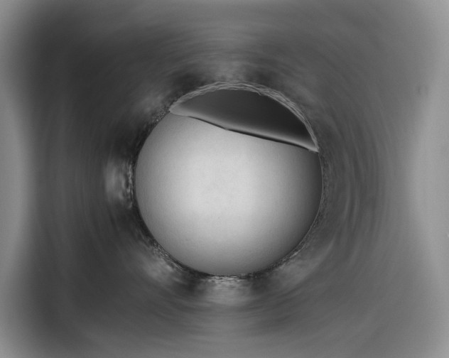 X0000116270528200912071045