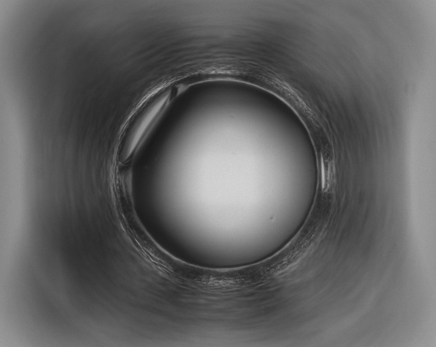 X0000116270531200912071044