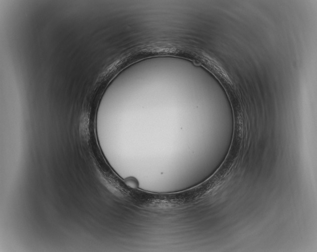 X0000116270538200912071044