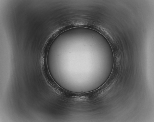 X0000116270539200912071044