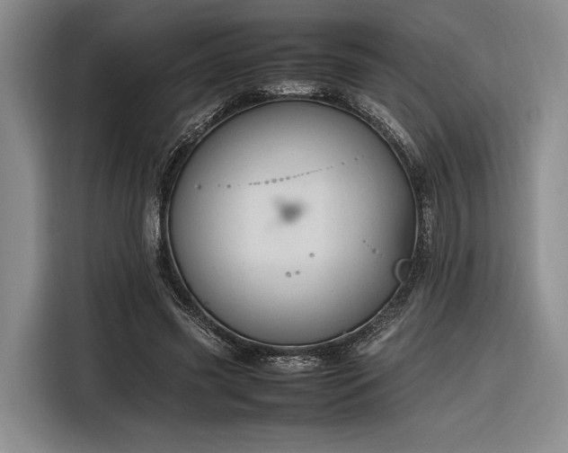 X0000116270541200912071044