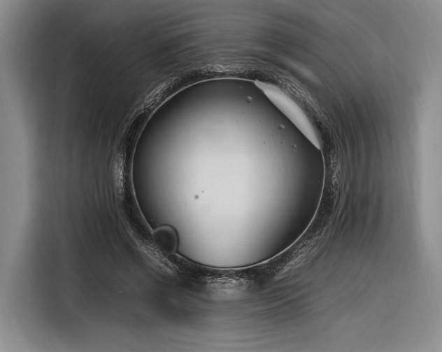 X0000116270542200912071044