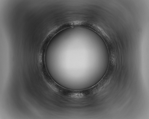 X0000116270543200912071044