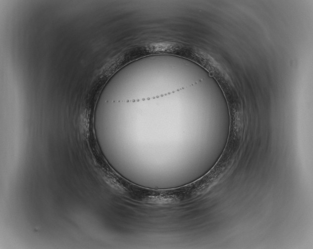 X0000116270545200912071044