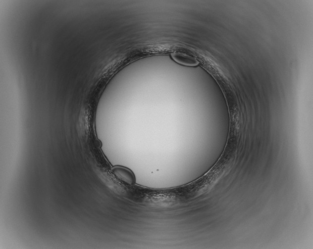 X0000116270546200912071044