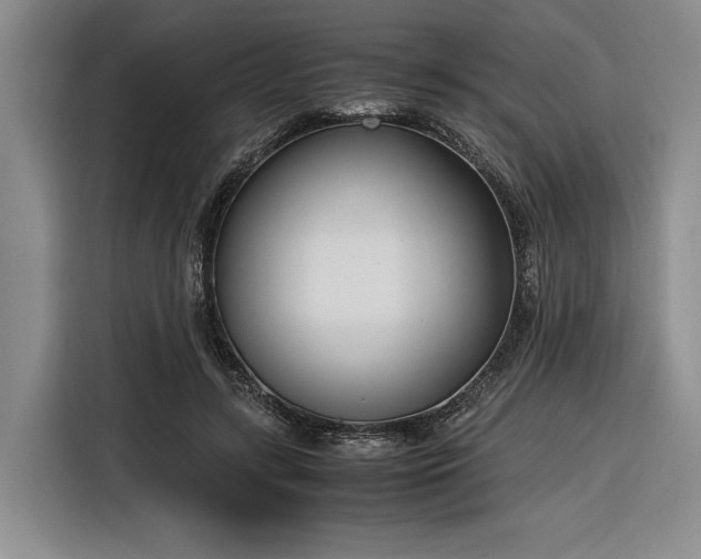 X0000116270547200912071044