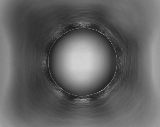 X0000116270553200912071044