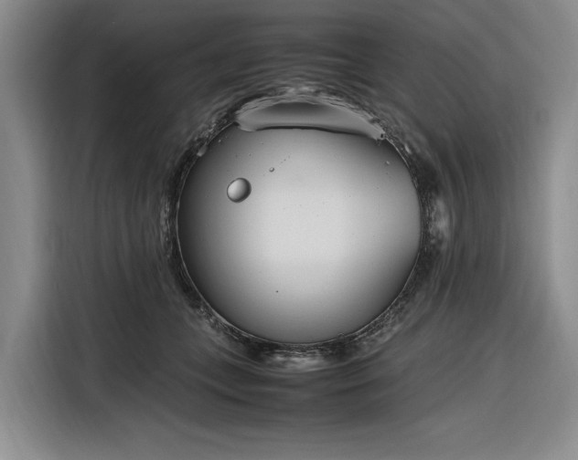 X0000116270559200912071044