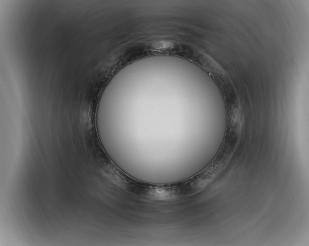 X0000116270565200912071044