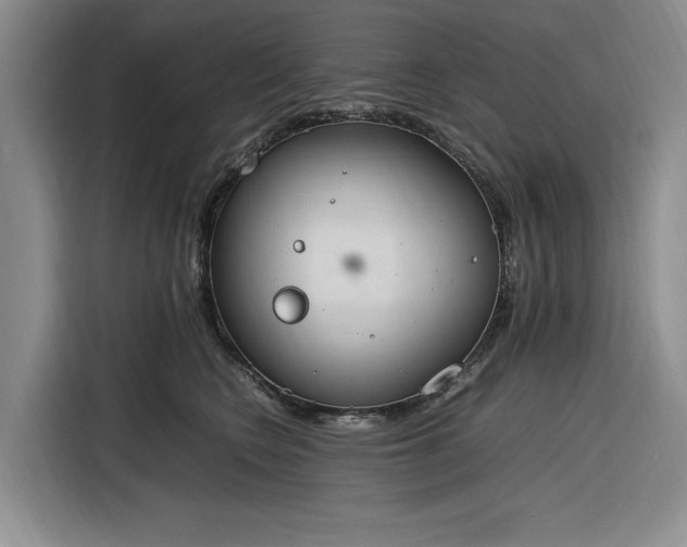 X0000116270566200912071045