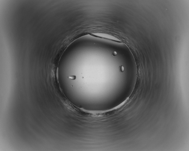 X0000116270570200912071045