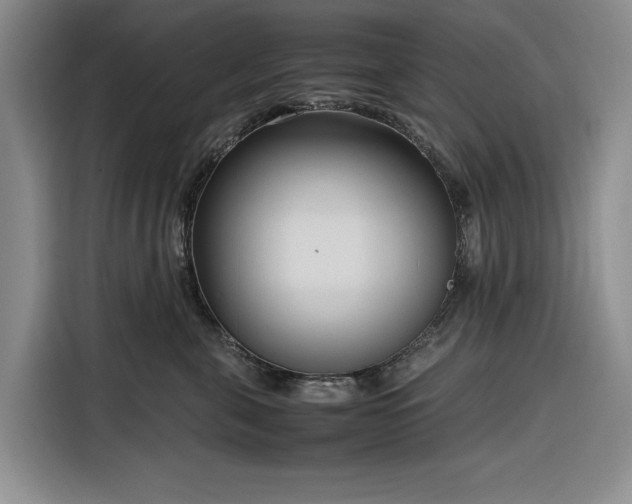 X0000116270571200912071045
