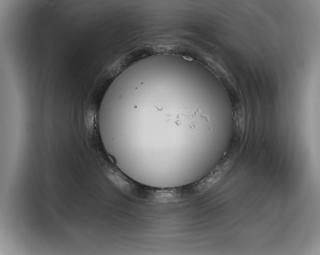 X0000116270574200912071045