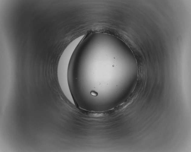 X0000116270575200912071045