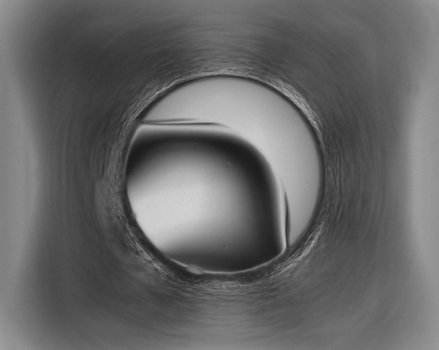 X0000116270577200912071044