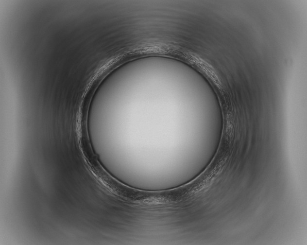 X0000116270578200912071044