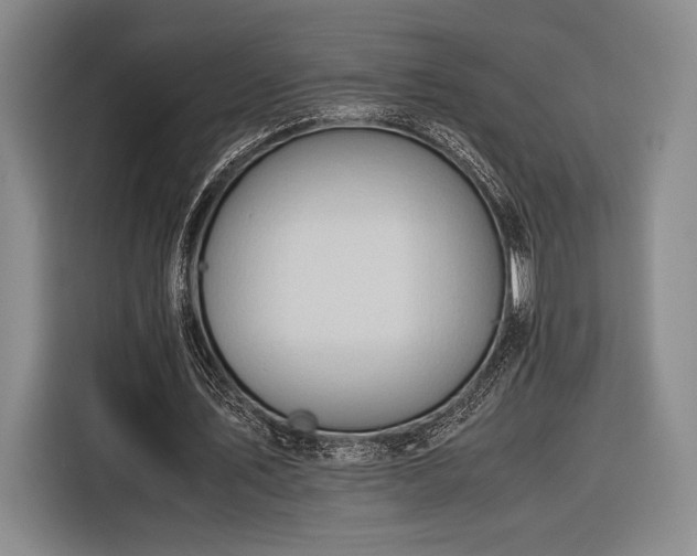 X0000116270579200912071044