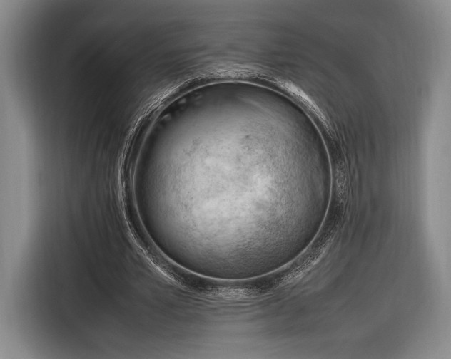 X0000116270581200912071044