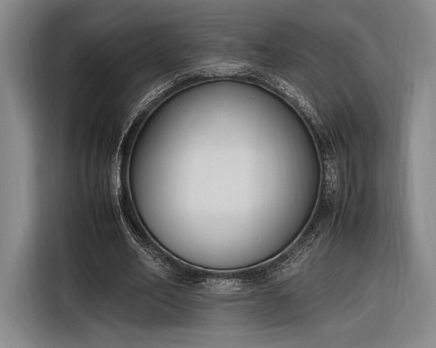 X0000116270582200912071044