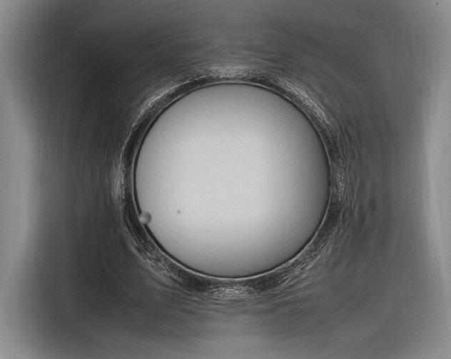 X0000116270583200912071044