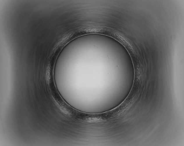 X0000116270586200912071044
