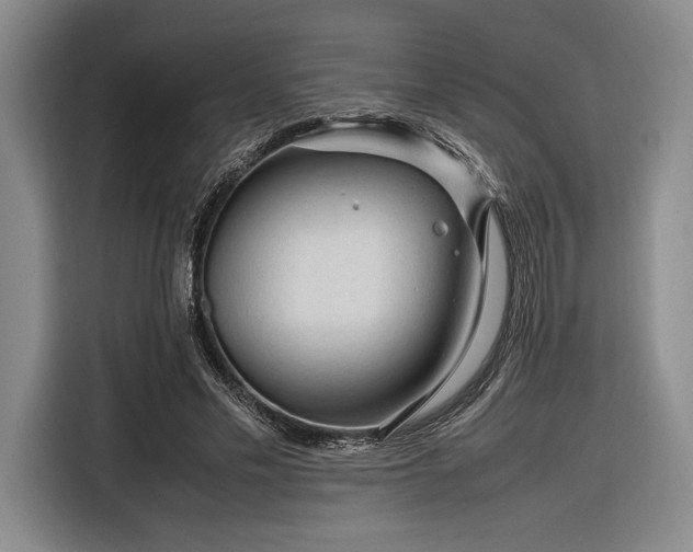 X0000116270589200912071044