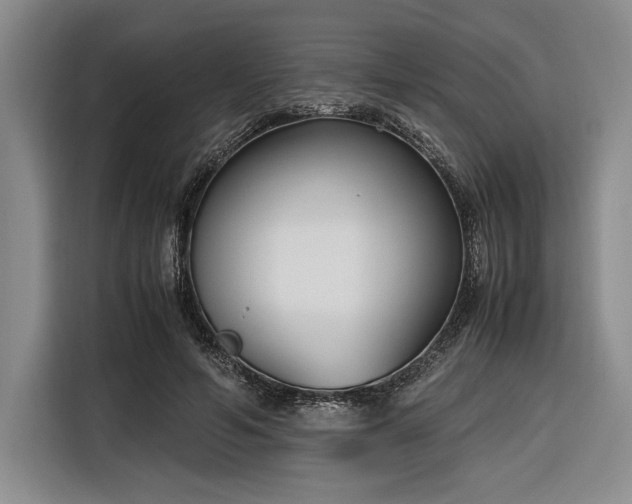 X0000116270594200912071044
