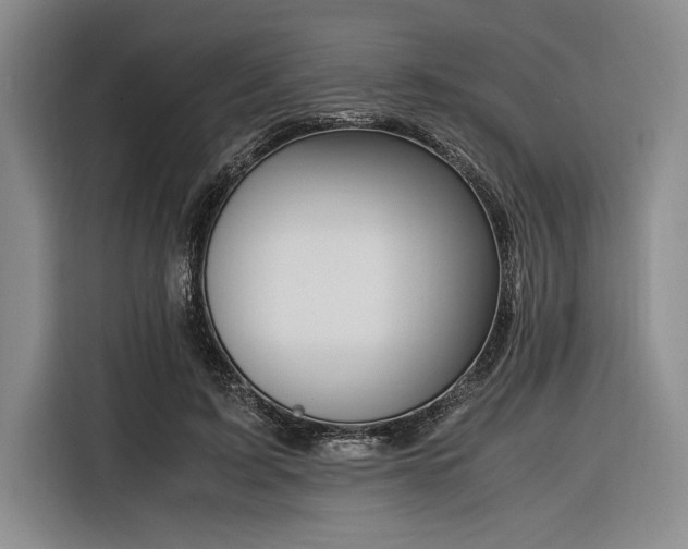 X0000116270595200912071044