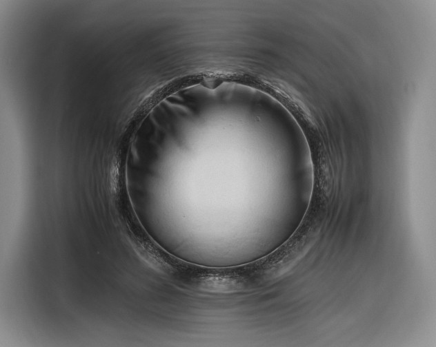 X0000116270596200912071044