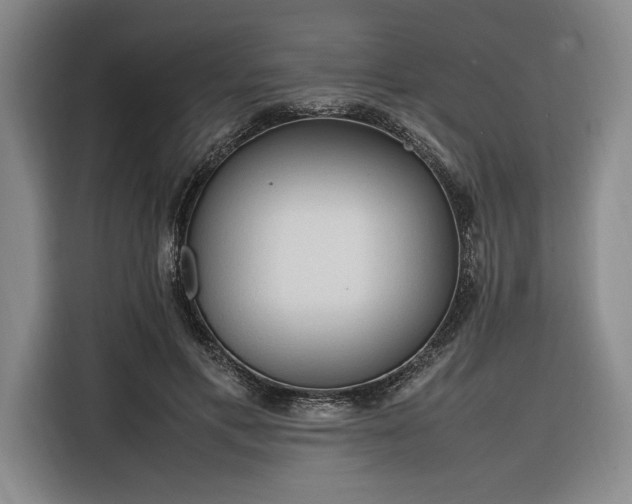 X0000116270597200912071044