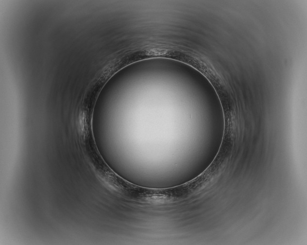 X0000116270598200912071044