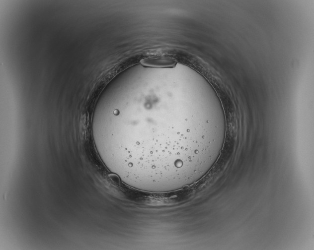 X0000116270605200912071044