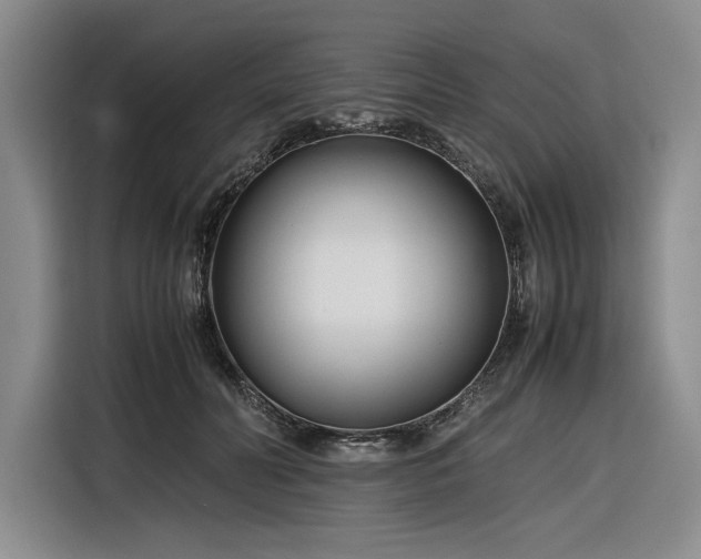 X0000116270606200912071044