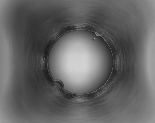 X0000116270608200912071044