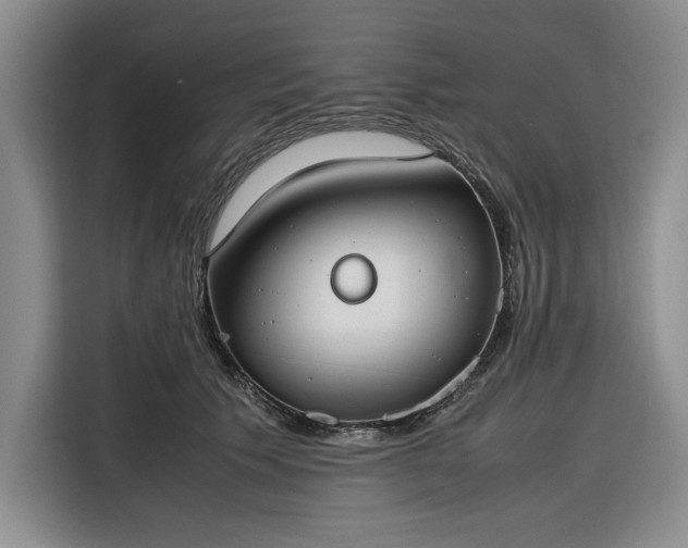 X0000116270609200912071044