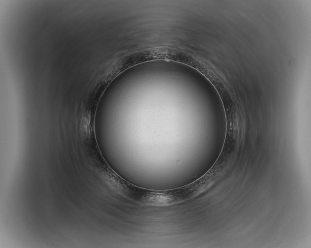 X0000116270610200912071044