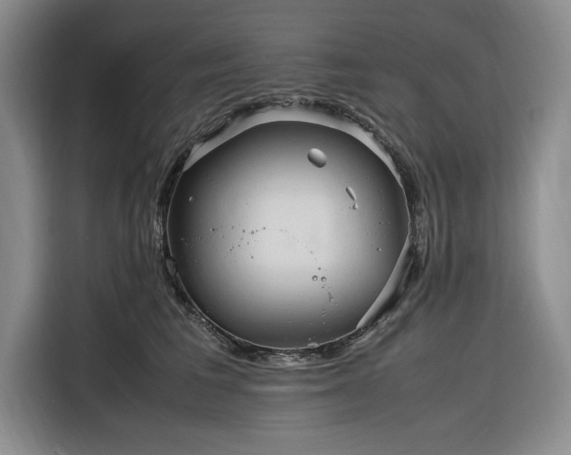 X0000116270613200912071044