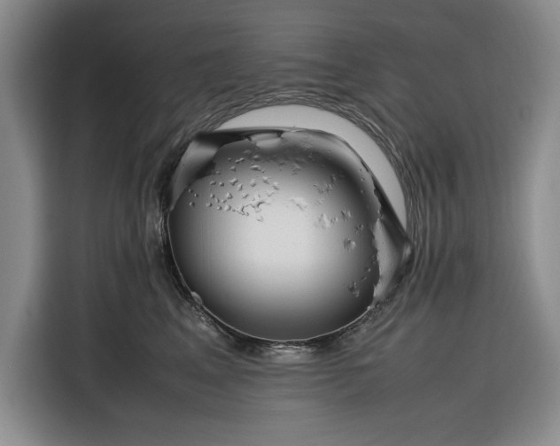 X0000116270617200912071043