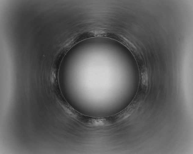 X0000116270618200912071043