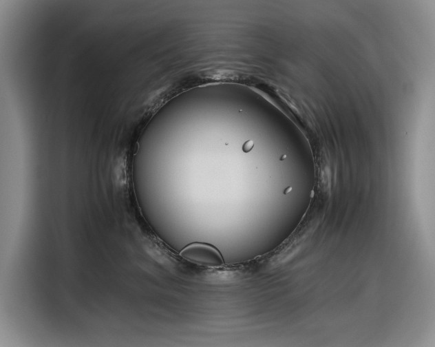 X0000116270620200912071043