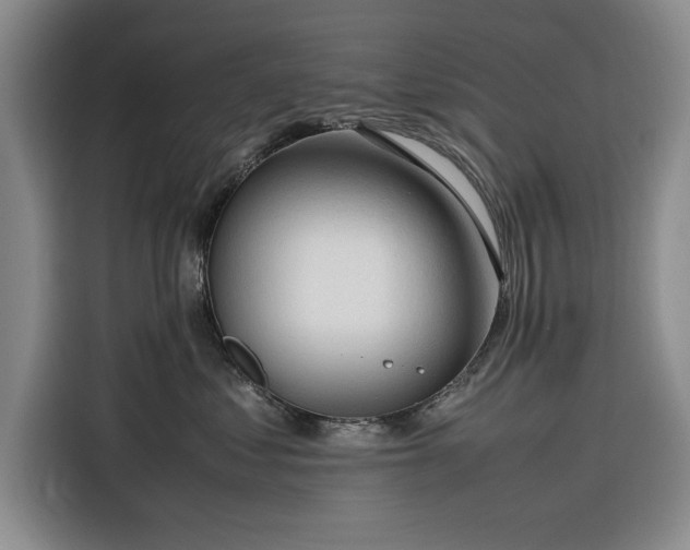 X0000116270621200912071043