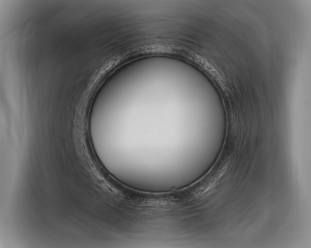 X0000116270625200912071043