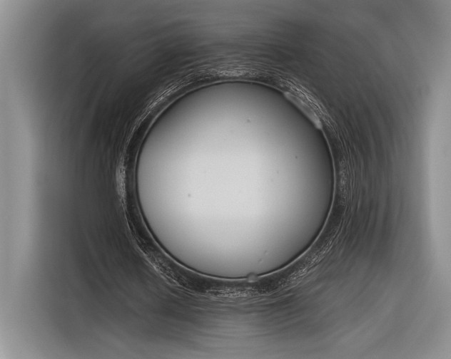 X0000116270626200912071043